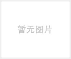 星達(dá)單槽400300250工作空間真空含浸機(jī)現(xiàn)貨